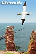 Helgoland